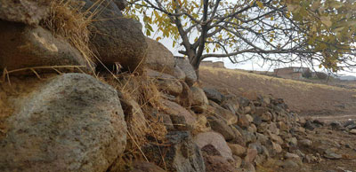 هرگلان